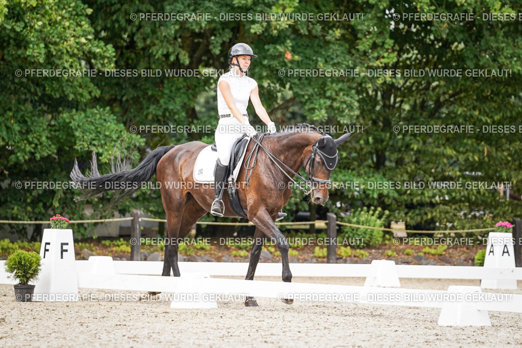 DSC06593 | Pferdegrafie