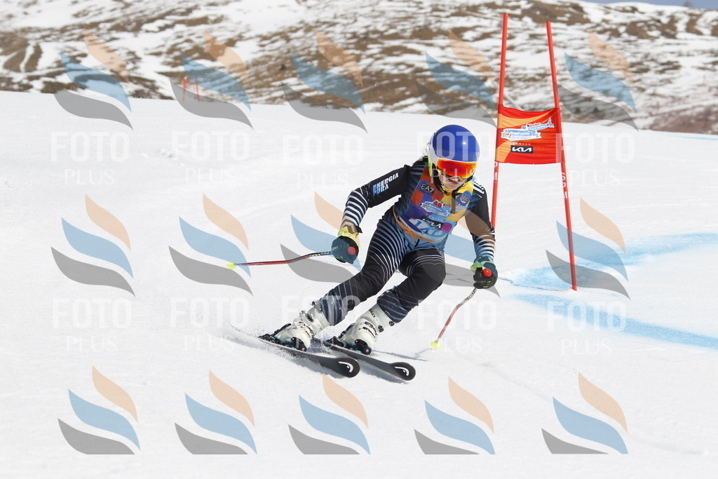 _U3G1172 | holidayphoto