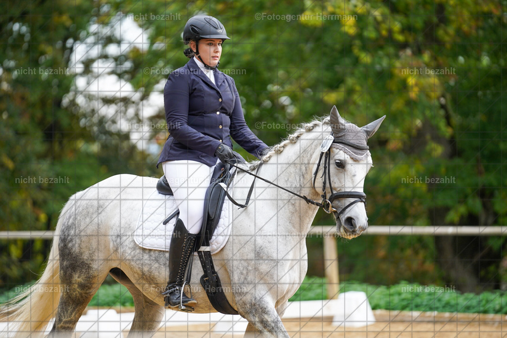 20221008-FAH01027 | Diessen am Ammersee, 2022, Dressur- und Springturnier, Reitsportbilder, Turnierfotografen Bayern, Pferdefotografen, Fotoagentur Herrmann, Turnierbilder