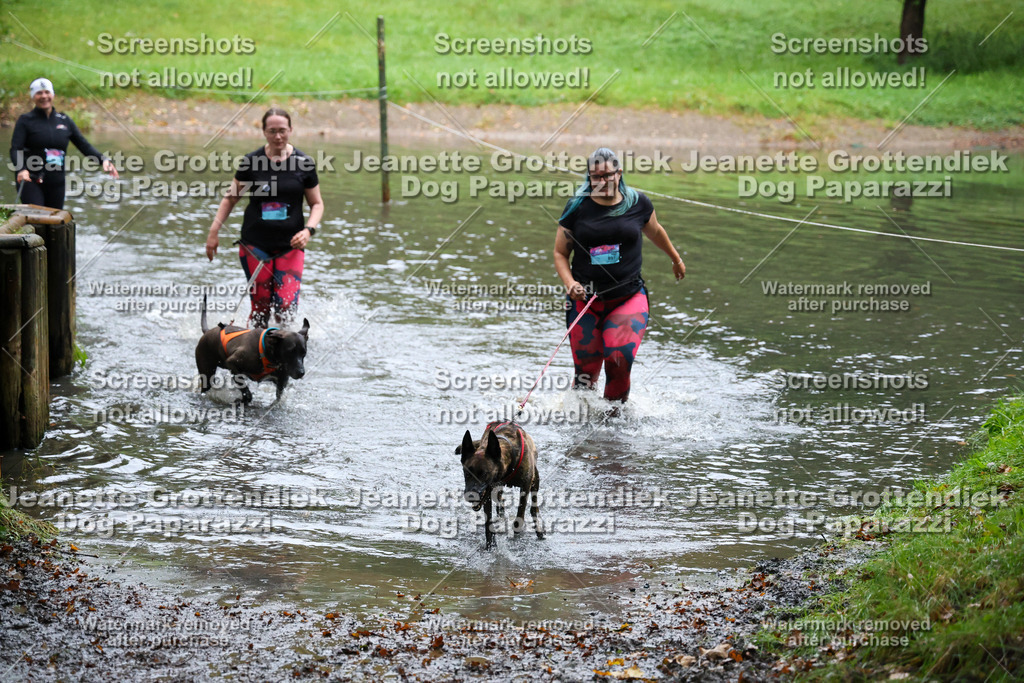 Dog Paparazzi -  SD1026-8288 | Dog Paparazzi Jeanette Grottendiek Fotografie & Videografie - Realisiert mit Pictrs.com
