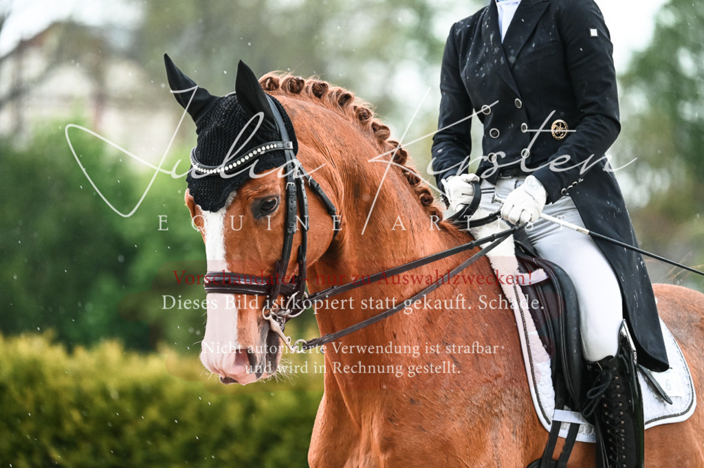 20230514_JK-Röhrsdorf-21-659 | Pferde- und Turnierfotografie in Westsachsen. Pferdeportraits, Auftragszeichnungen und intuitive Kunst.