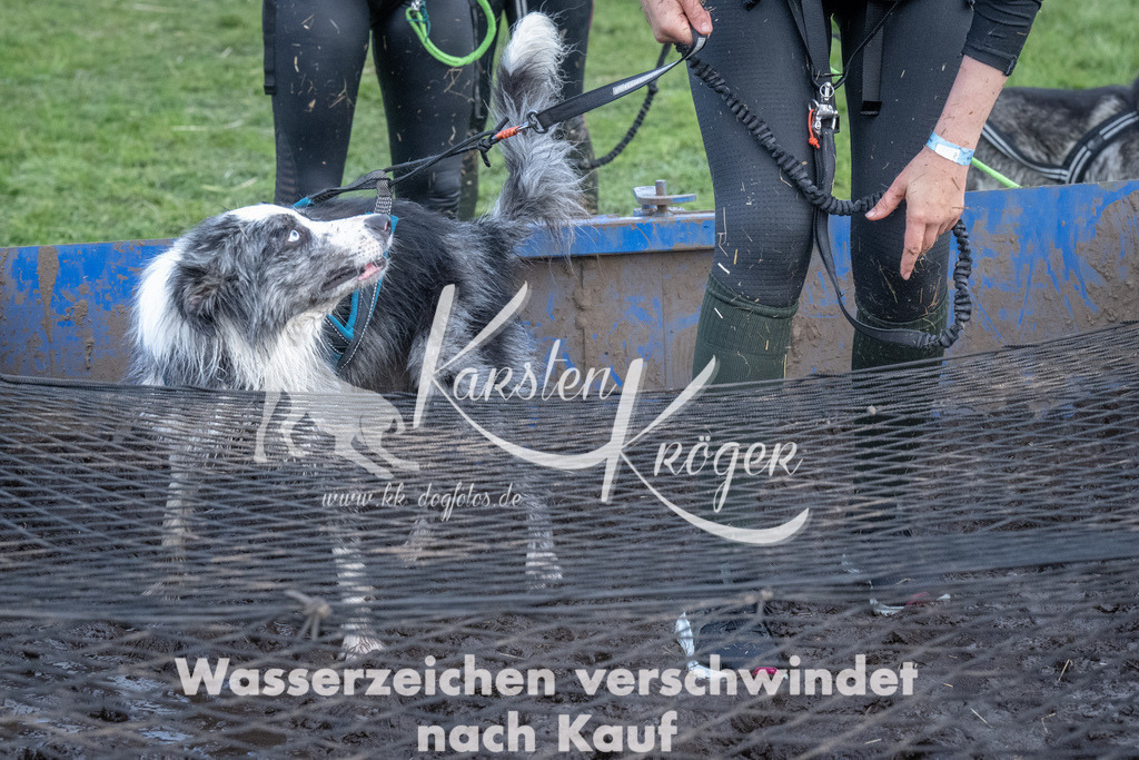 1624_ZZ92438 | kk-dogfotos