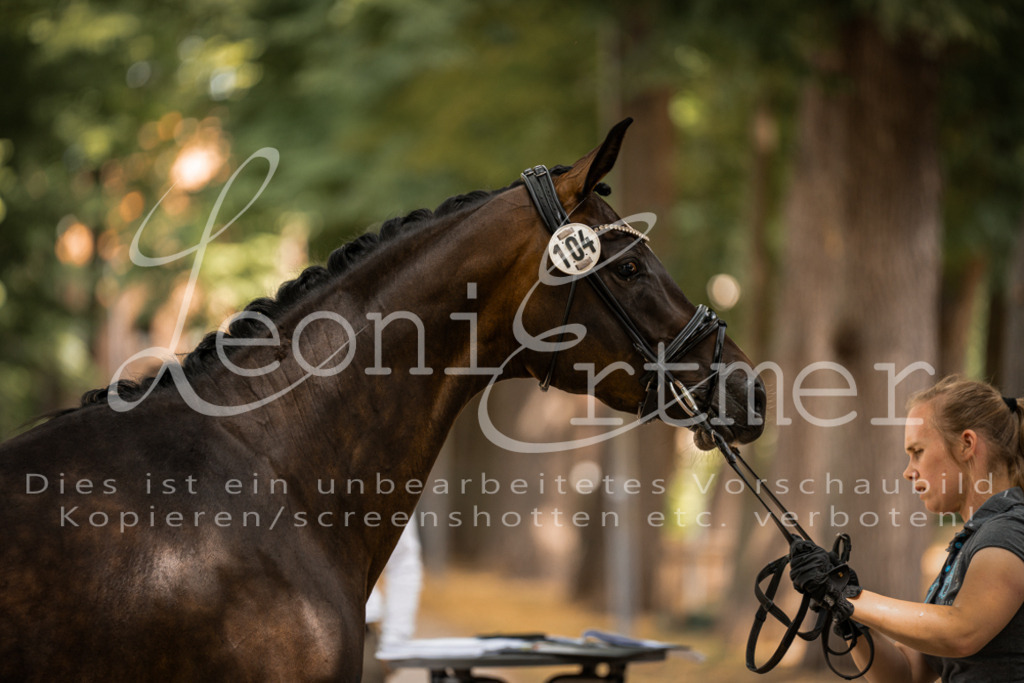 FrPfM00173 | Leoni Ertmer Photography - Realisiert mit Pictrs.com