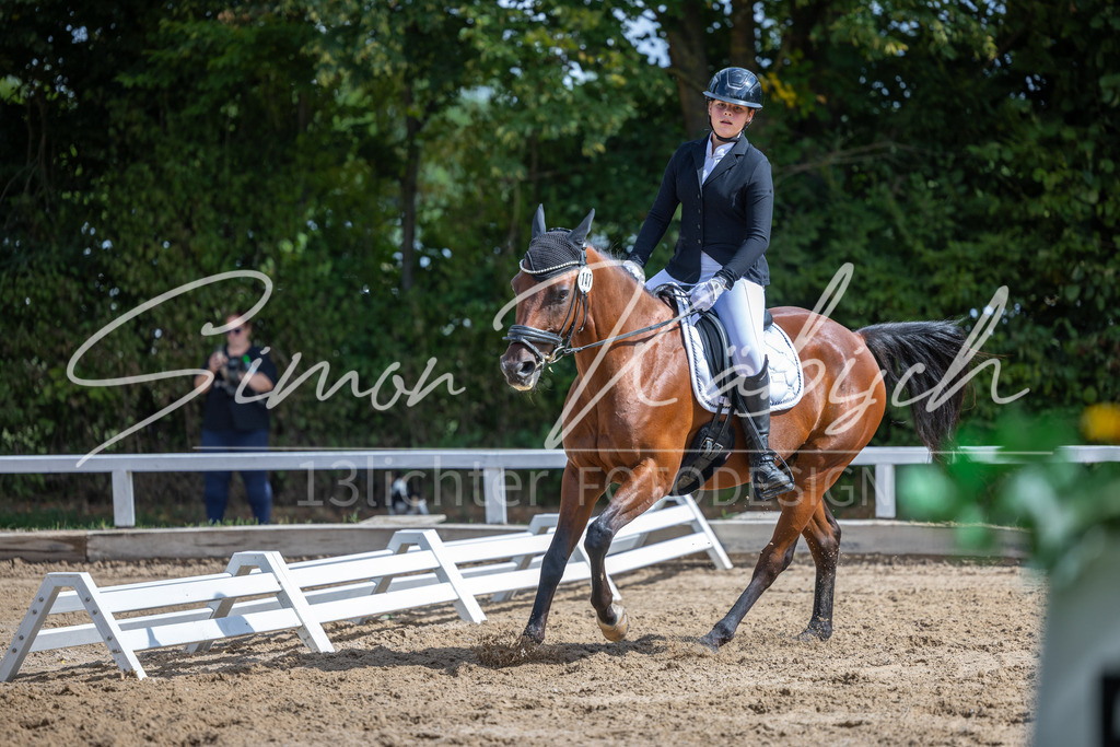 20260905-_3LI7787 | Tierfotografie Pferde, Hunde, Katzen, Haustiere.
Turnierfotografie Reitturniere, Reiten, Springreiten, Dressur in Hanau, dem Main-Kinzig-Kreis und dem Rhein-Main- Gebiet um Frankfurt