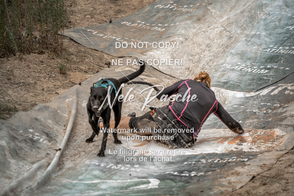 nelerasche_sa1300-1345_17 | nelerasche