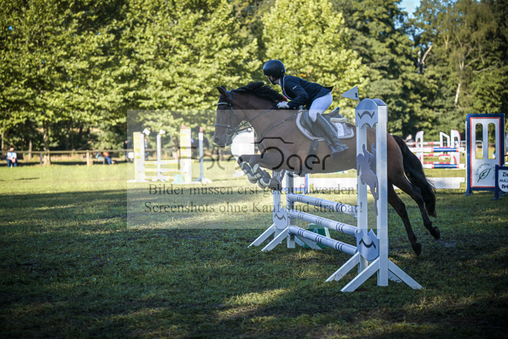 DOS_0560 | Entdecke hochwertige Reitturnierfotos von Foto Oger. Professionell, emotional und authentisch – jetzt Lieblingsmomente im Shop bestellen.Deutschlandweite Turnierfotografie. - Realisiert mit Pictrs.com