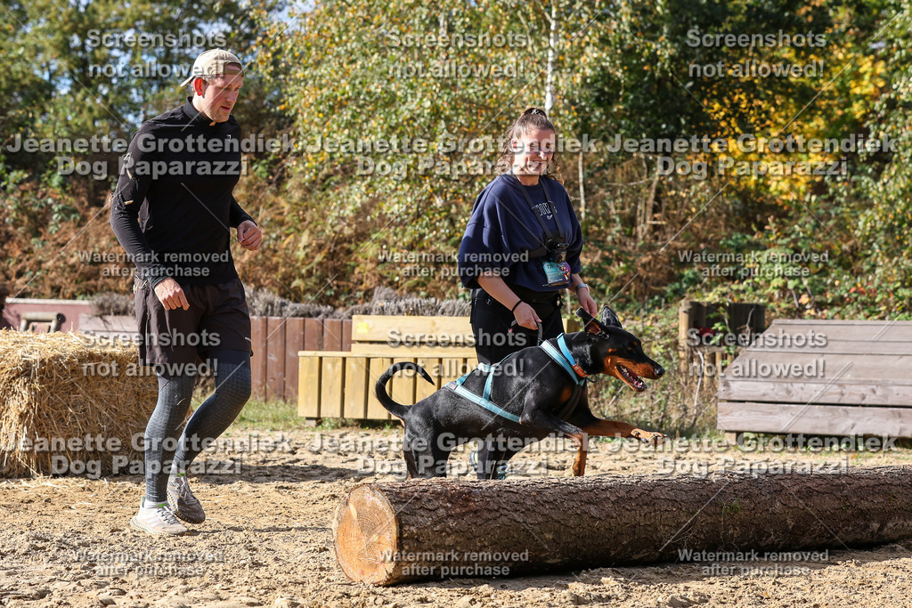 Dog Paparazzi - Strongdog 10-25-5239 | Dog Paparazzi Jeanette Grottendiek Fotografie & Videografie - Realisiert mit Pictrs.com