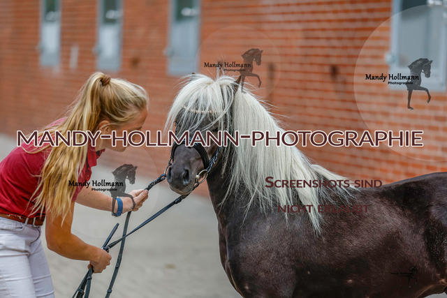 SH (55 von 345) | mandyhollmannphotographie