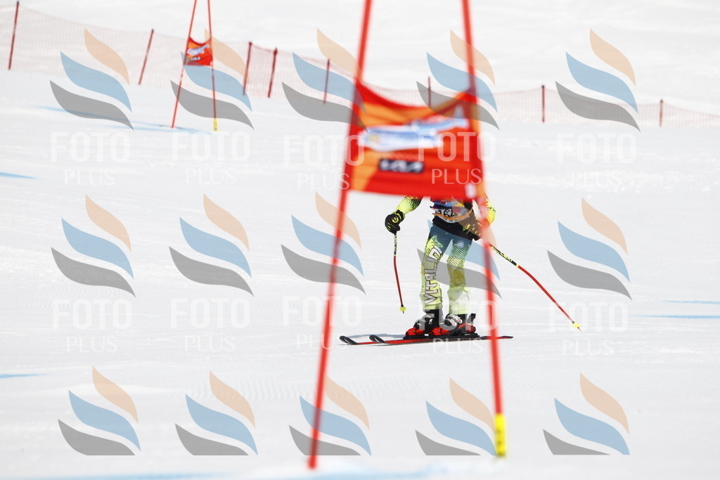 _U3G4405 | holidayphoto