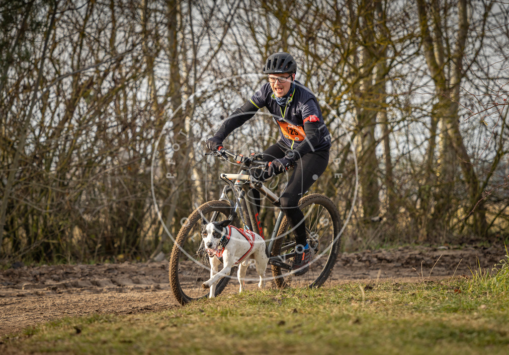 Pfotenfotografie_DV3A8623 | Hundefotografie, Tierfotograf, Pfotenfotografie, Fotoshooting Hund, Hunde Portrait, Hundesport, Hundeportraits, Heideshooting, Hunde, Sportfotograf, Hundefotograf, Turnierhundsport, THS,  - Realisiert mit Pictrs.com