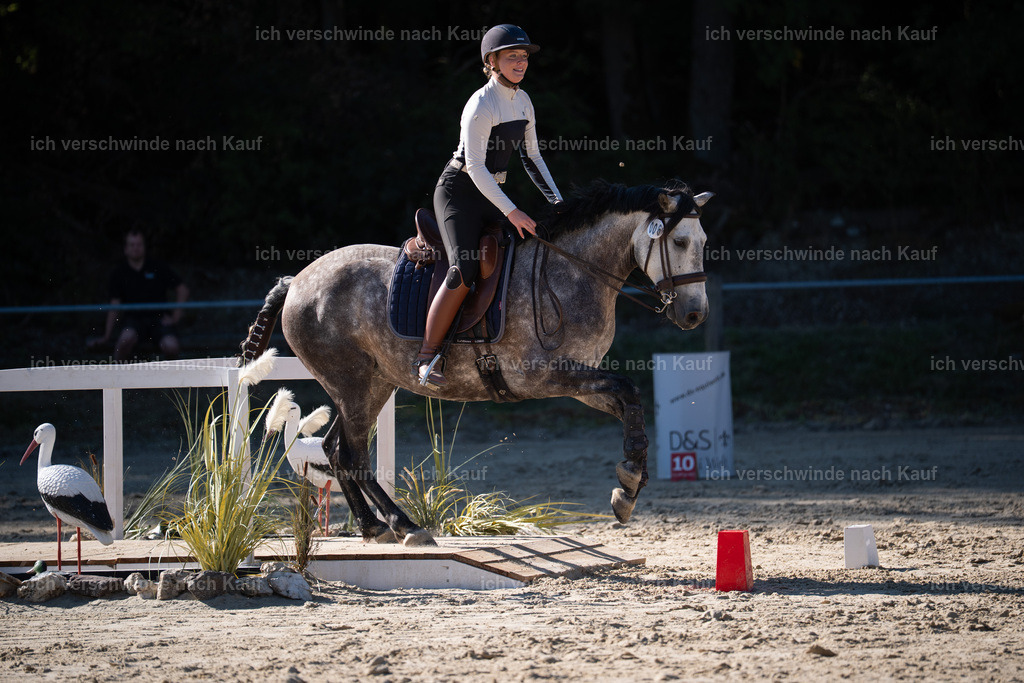 WL_SP_6_Stoibphotography_SO14598 | working equitationturnier fotograf videograf stoibphotography marixx film working equitation deutschland reitsport turnierfotografie eventfotografie equestrian events
