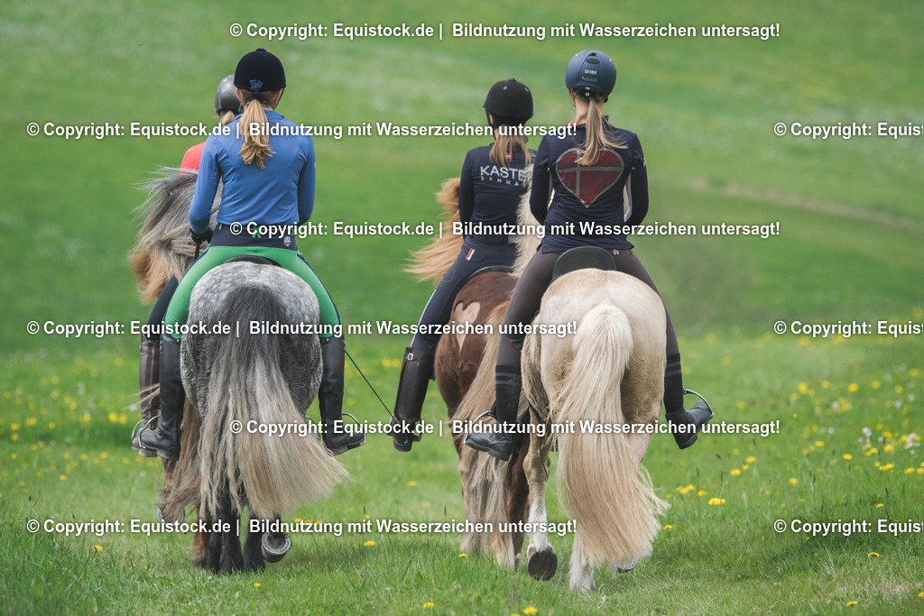 TS_20170415_Isl__nder_Ausritt_0003 | Foto: Thomas Hartig