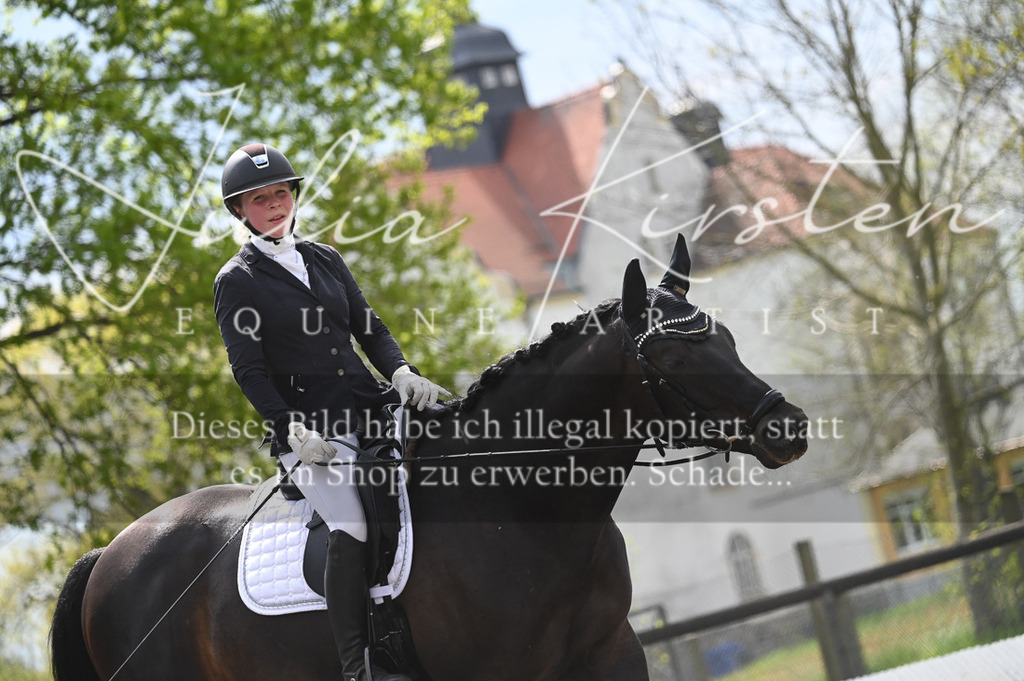 20230512_JK-Röhrsdorf-08-158 | Pferde- und Turnierfotografie in Westsachsen. Pferdeportraits, Auftragszeichnungen und intuitive Kunst.