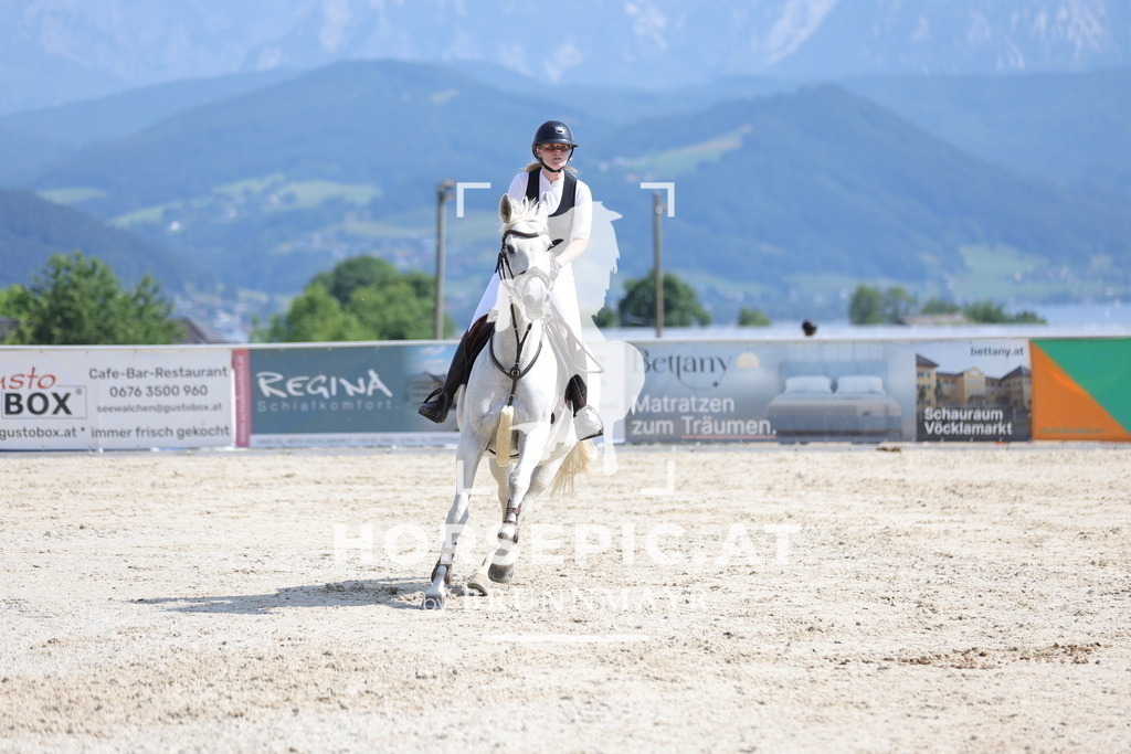 0P6A0658 | Willkommen bei Brunnmayr - Design & Fotografie – Ihrem Spezialisten für Reitturniere und Pferdeveranstaltungen in Oberösterreich, Salzburg und Bayern! Seit über 17 Jahren sind wir leidenschaftlich dabei.