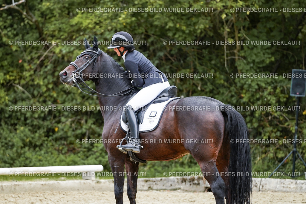 DSC09202 | Pferdegrafie