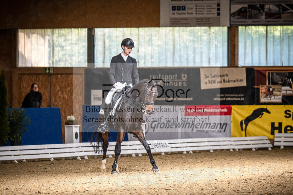 DOS_0840 | Entdecke hochwertige Reitturnierfotos von Foto Oger. Professionell, emotional und authentisch – jetzt Lieblingsmomente im Shop bestellen.Deutschlandweite Turnierfotografie. - Realisiert mit Pictrs.com
