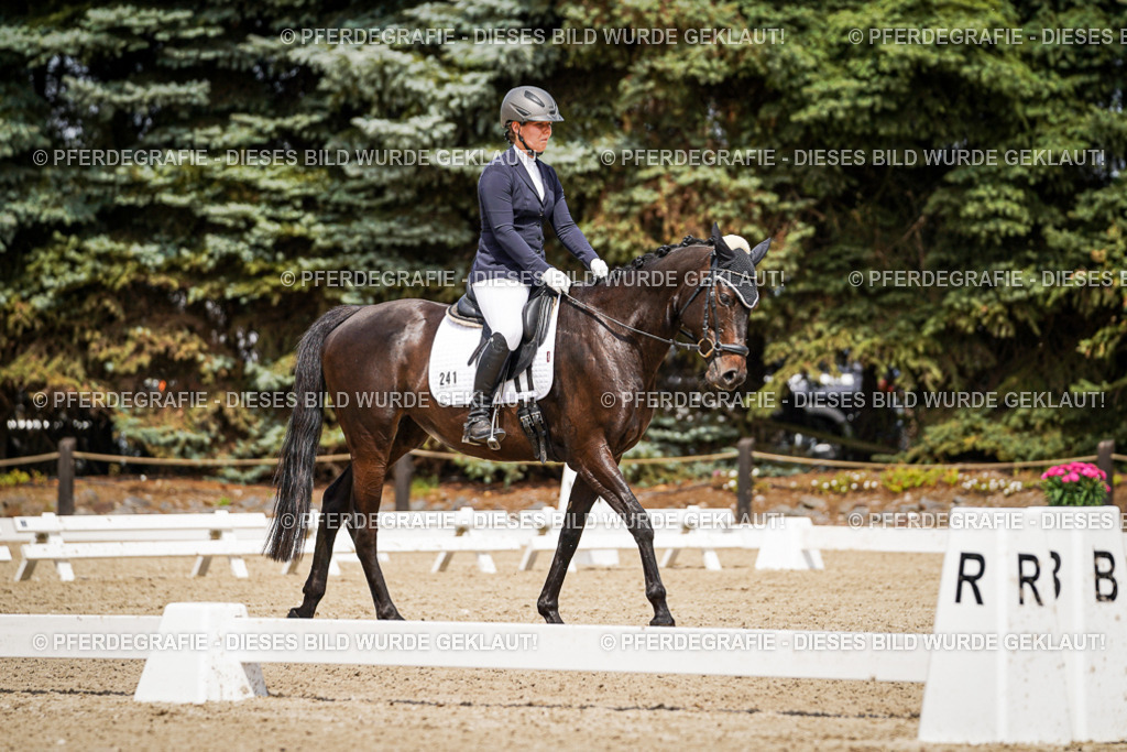 DSC03001 | Pferdegrafie