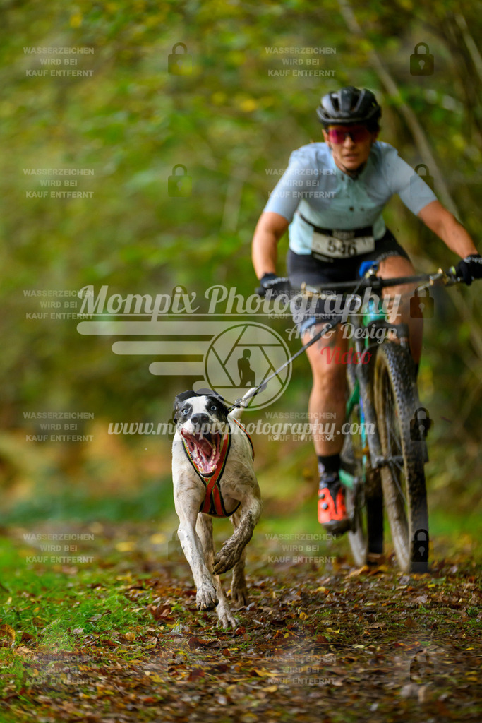 MompixPhotography_20TSB_E1_Bike-19 | PayLife