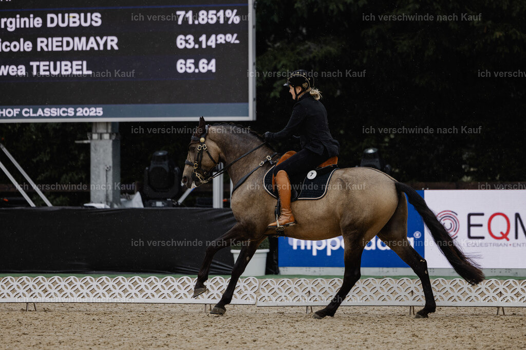 Katja7_FHC2025-24709 | working equitationturnier fotograf videograf stoibphotography marixx film working equitation deutschland reitsport turnierfotografie eventfotografie equestrian events