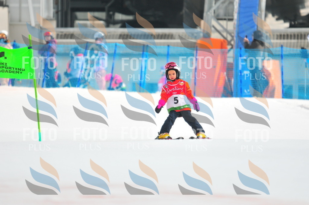 C0808 | holidayphoto