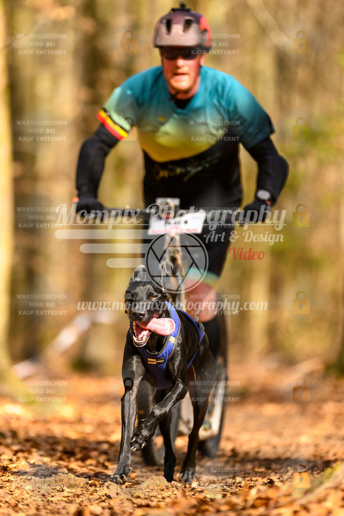 MompixPhotography_Habay2025_SA_SCO-17 | PayLife