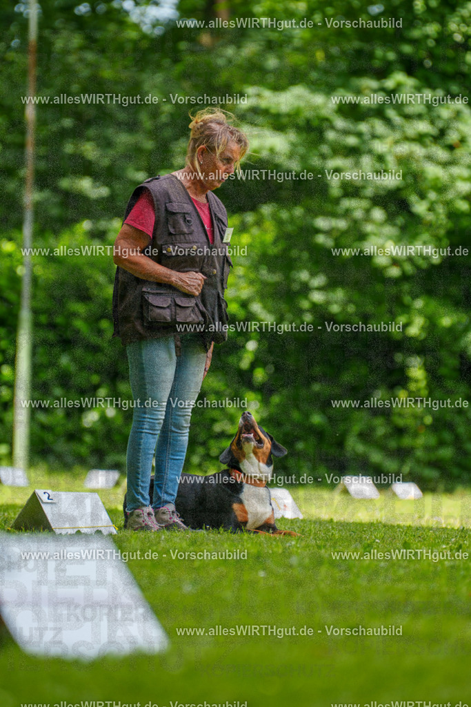 @allesWIRTHgut_Tierfotografie - www.allesWIRTHgut.de - 7R504535 | Professionelle Tierfotografie in Mönchengladbach von Daniel Wirth (allesWIRTHgut). Liebevolle & natürliche Bilder von Hunden & Katzen für unvergessliche Erinnerungen.