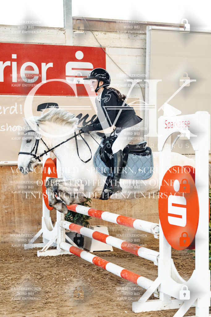 CK904807 | Turnierfotografie Pferdefotografie Trier Rheinland-Pfalz Pferdesport Reitsport Tierfotografie Sportfotografie Pferdevideo Pferdevideografie Equestrianvideography equestrianphotography  - Realisiert mit Pictrs.com