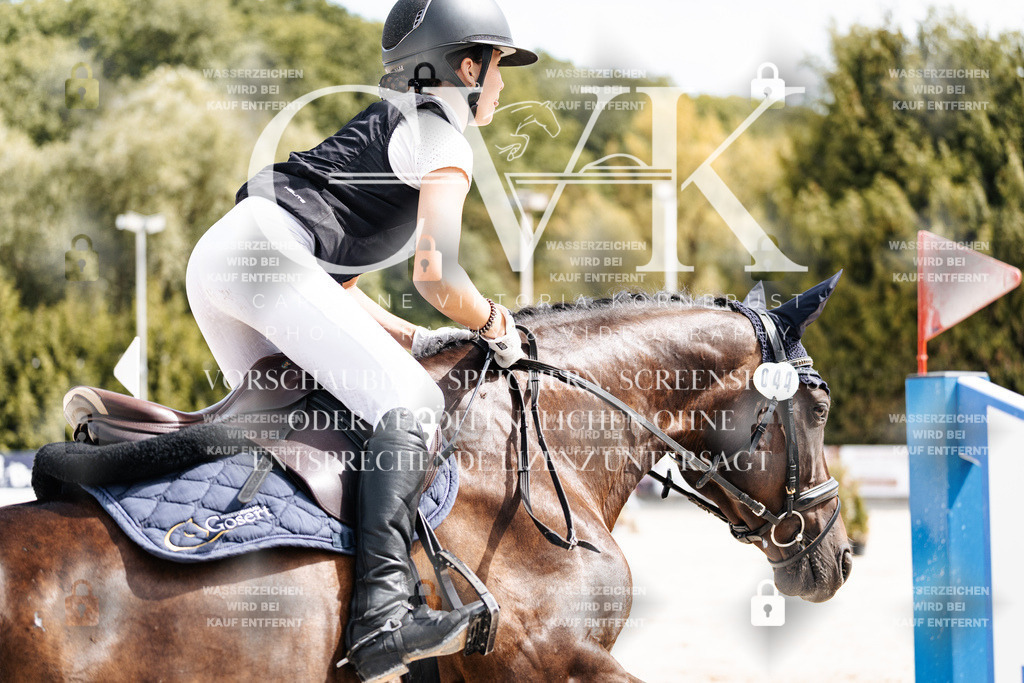 CK906327 | Turnierfotografie Pferdefotografie Trier Rheinland-Pfalz Pferdesport Reitsport Tierfotografie Sportfotografie Pferdevideo Pferdevideografie Equestrianvideography equestrianphotography  - Realisiert mit Pictrs.com