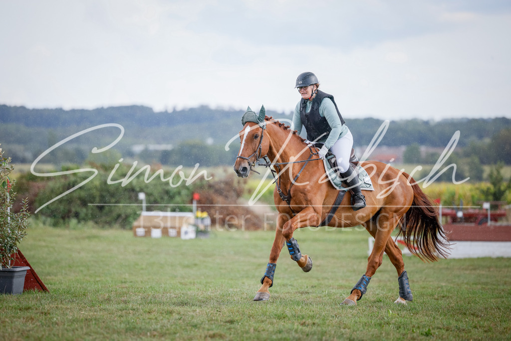 20250905-_3LI0774 | Tierfotografie Pferde, Hunde, Katzen, Haustiere.
Turnierfotografie Reitturniere, Reiten, Springreiten, Dressur in Hanau, dem Main-Kinzig-Kreis und dem Rhein-Main- Gebiet um Frankfurt