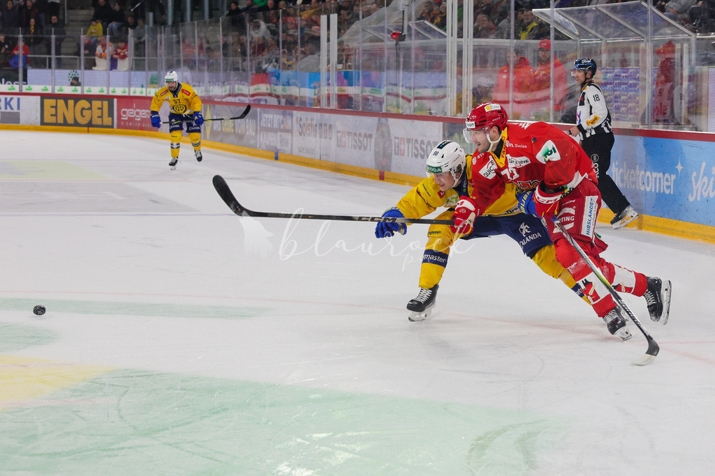 2J4A0132_1 | Sportbilder, Sportfotograf, Hochzeits- und Eventfotografin, Flugshows, Portraits und Tiershooting, Aviation, Downhill, Nationalleague, Swissleague, International