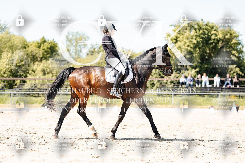 CK905443 | Turnierfotografie Pferdefotografie Trier Rheinland-Pfalz Pferdesport Reitsport Tierfotografie Sportfotografie Pferdevideo Pferdevideografie Equestrianvideography equestrianphotography  - Realisiert mit Pictrs.com
