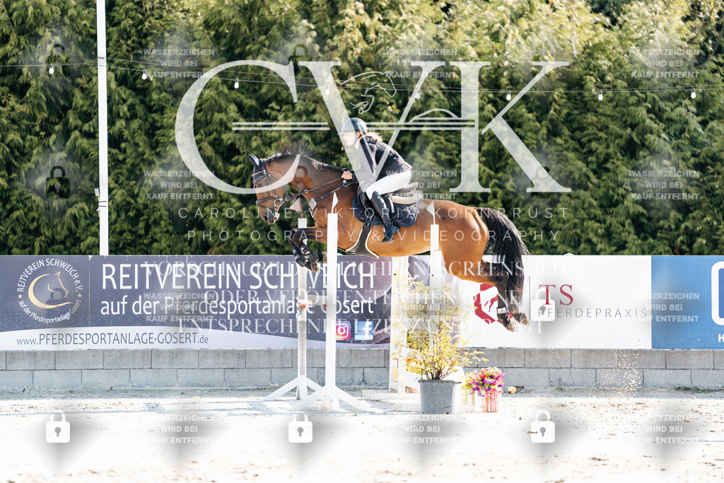 CK901734 | Turnierfotografie Pferdefotografie Trier Rheinland-Pfalz Pferdesport Reitsport Tierfotografie Sportfotografie Pferdevideo Pferdevideografie Equestrianvideography equestrianphotography  - Realisiert mit Pictrs.com