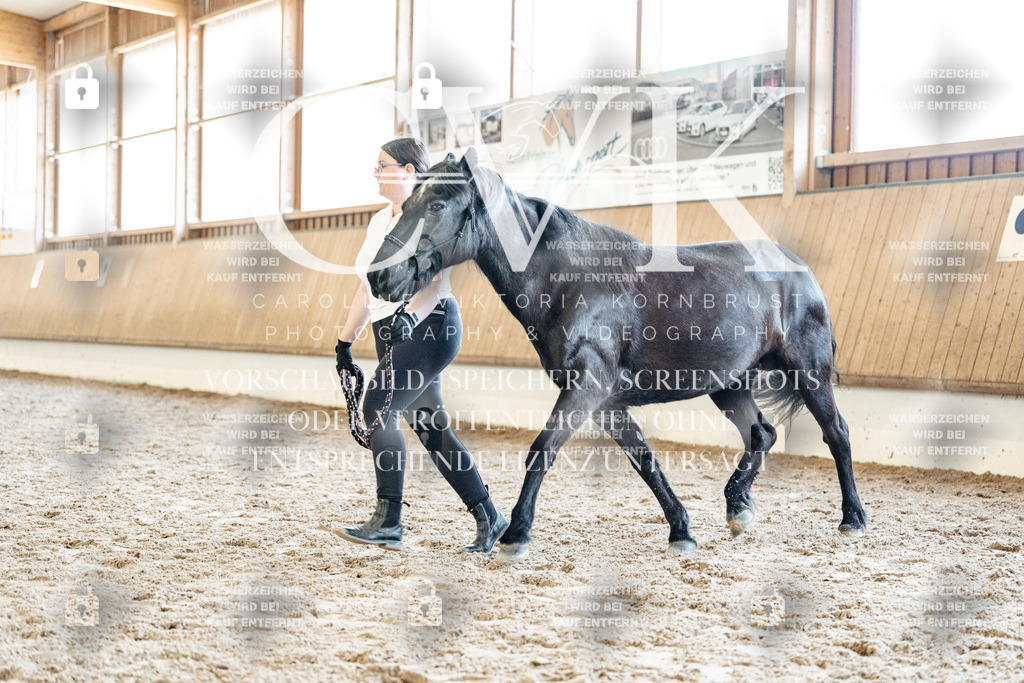 CK907512 | Turnierfotografie Pferdefotografie Trier Rheinland-Pfalz Pferdesport Reitsport Tierfotografie Sportfotografie Pferdevideo Pferdevideografie Equestrianvideography equestrianphotography  - Realisiert mit Pictrs.com