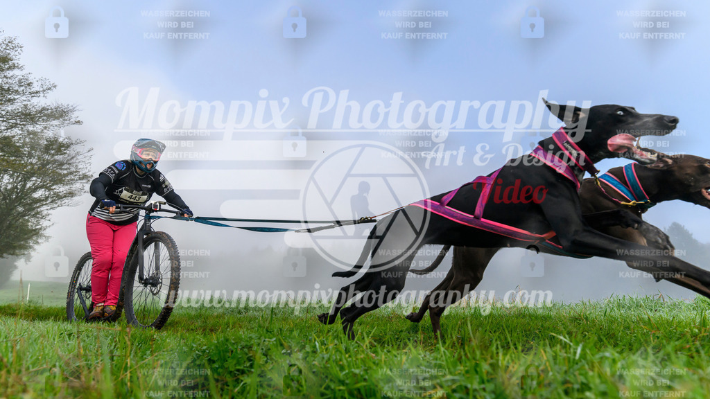 MompixPhotography_20TSB_E5_DS2-17 | PayLife