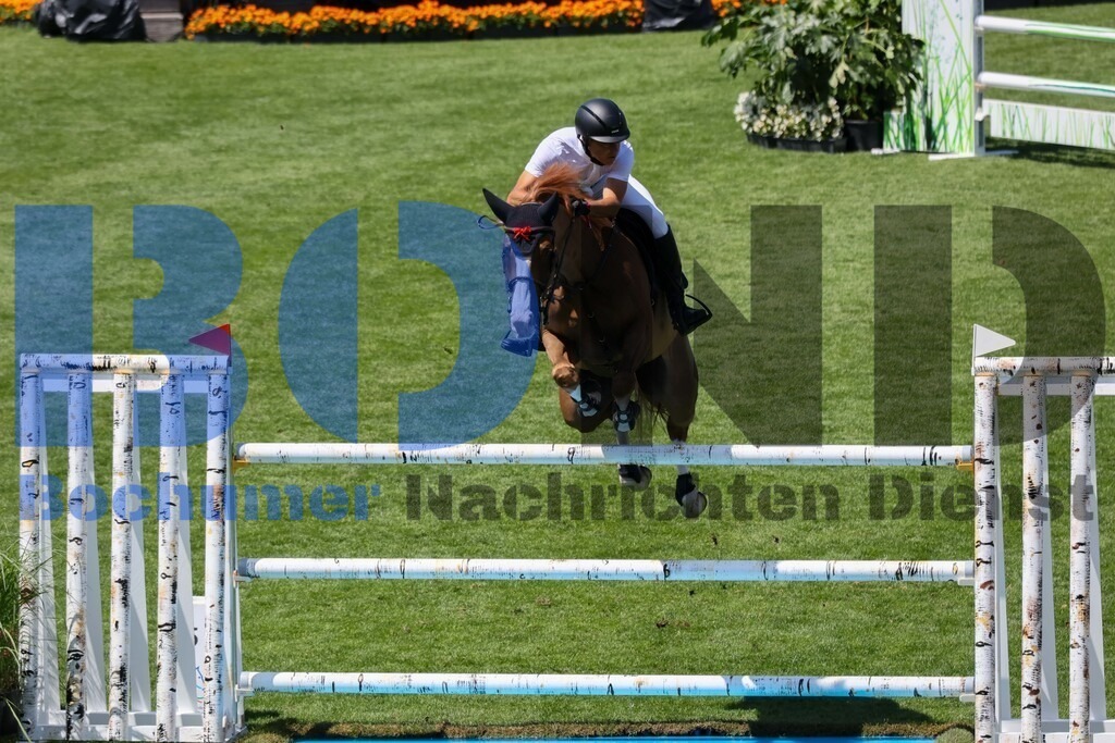 01.07.2025 -  | 01.07.2025 - - Realisiert mit Pictrs.com