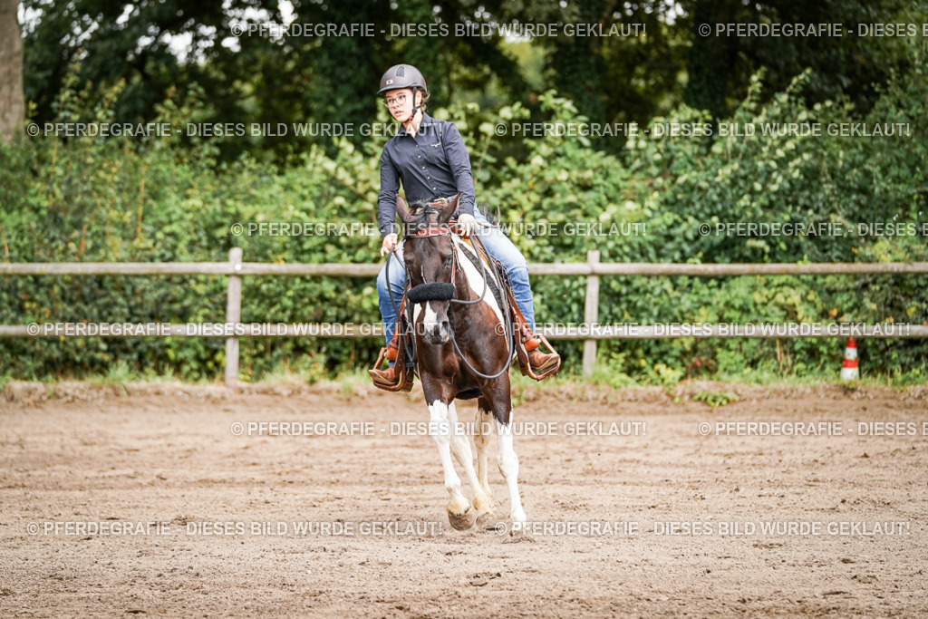 DSC07787 | Pferdegrafie