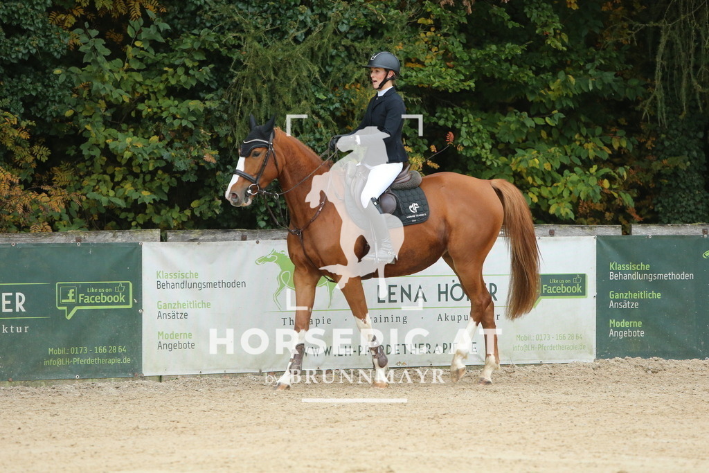 DL2Q4043 | Willkommen bei Brunnmayr - Design & Fotografie – Ihrem Spezialisten für Reitturniere und Pferdeveranstaltungen in Oberösterreich, Salzburg und Bayern! Seit über 17 Jahren sind wir leidenschaftlich dabei.