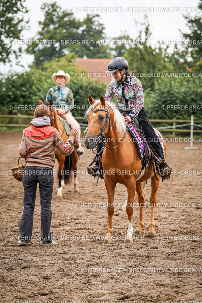 DSC05331 | Pferdegrafie