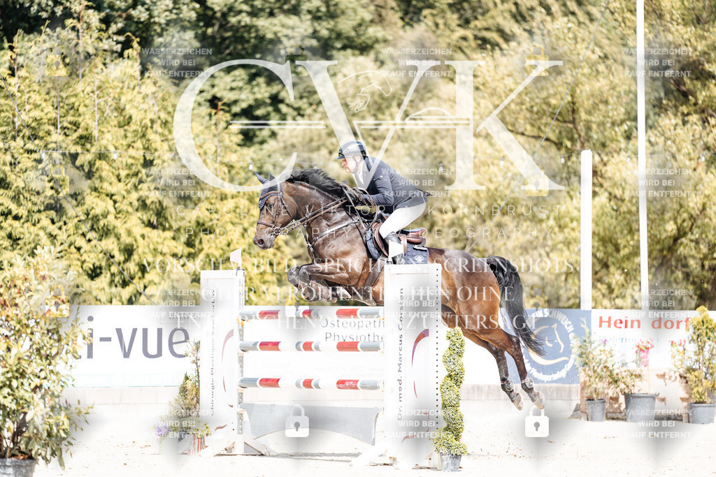 CK904960 | Turnierfotografie Pferdefotografie Trier Rheinland-Pfalz Pferdesport Reitsport Tierfotografie Sportfotografie Pferdevideo Pferdevideografie Equestrianvideography equestrianphotography  - Realisiert mit Pictrs.com