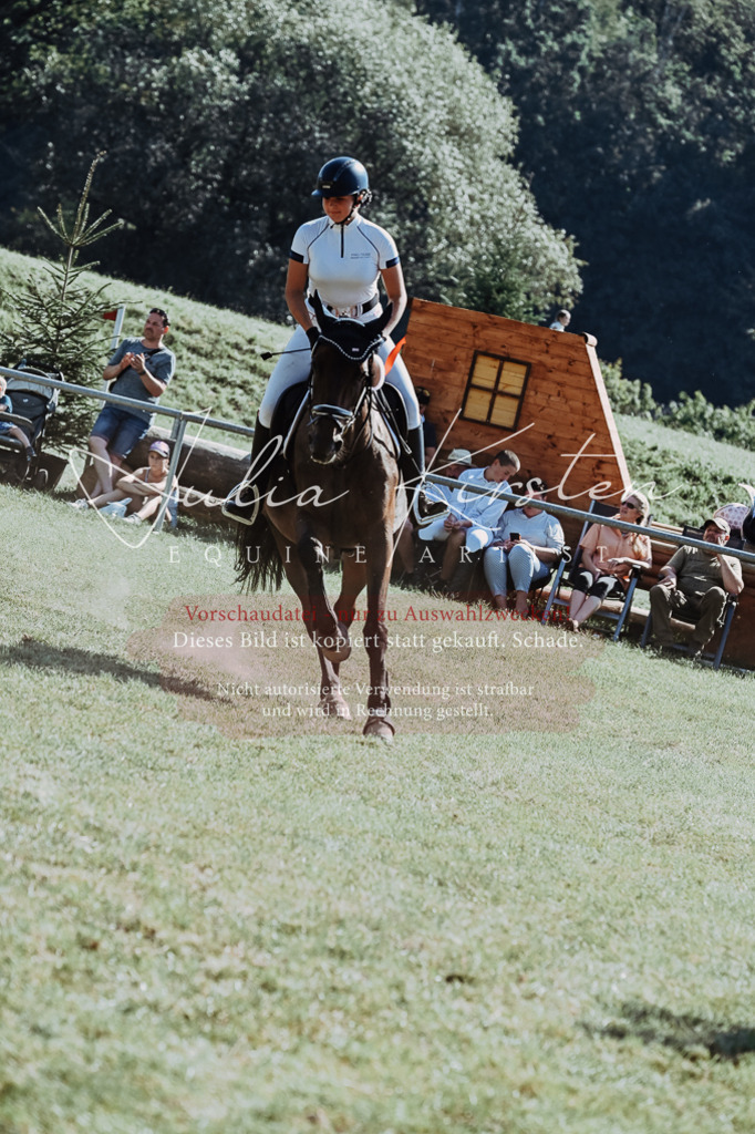 DSC_6231 | Pferde- und Turnierfotografie in Westsachsen. Pferdeportraits, Auftragszeichnungen und intuitive Kunst.