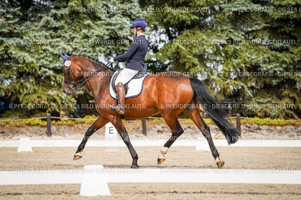 DSC05185 | Pferdegrafie