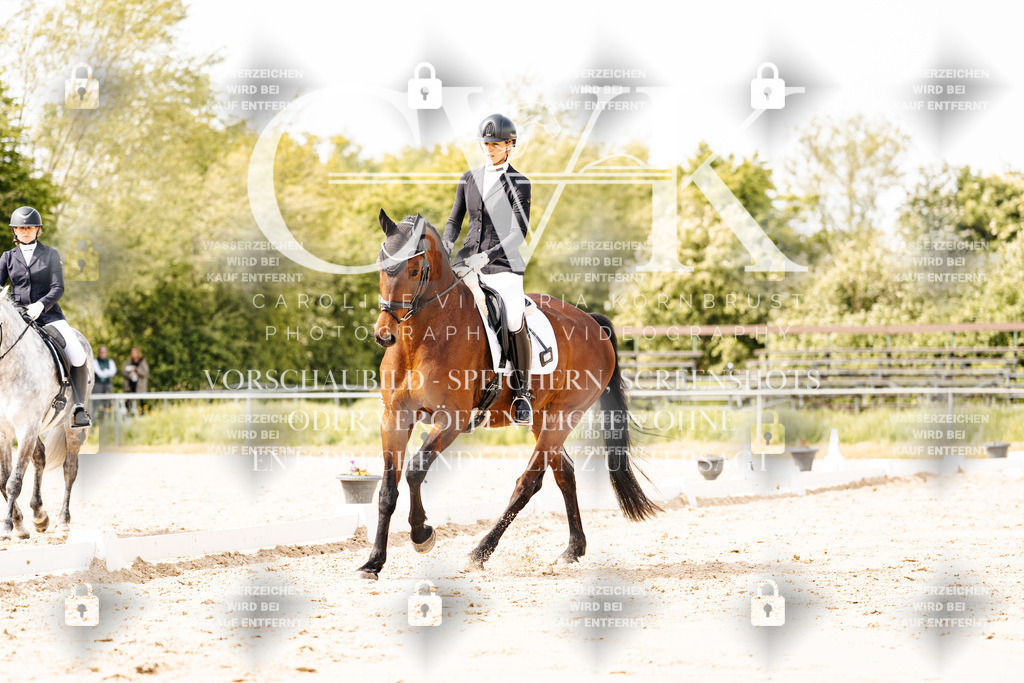 CK901522 | Turnierfotografie Pferdefotografie Trier Rheinland-Pfalz Pferdesport Reitsport Tierfotografie Sportfotografie Pferdevideo Pferdevideografie Equestrianvideography equestrianphotography  - Realisiert mit Pictrs.com