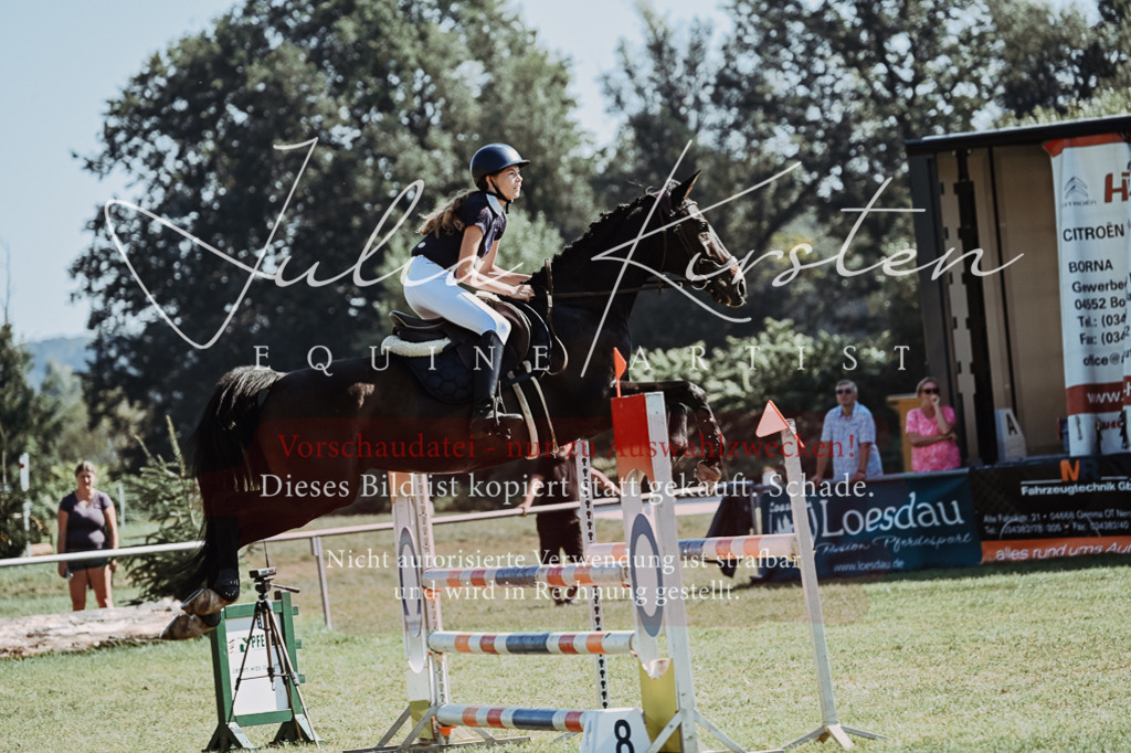 DSC_5927 | Pferde- und Turnierfotografie in Westsachsen. Pferdeportraits, Auftragszeichnungen und intuitive Kunst.