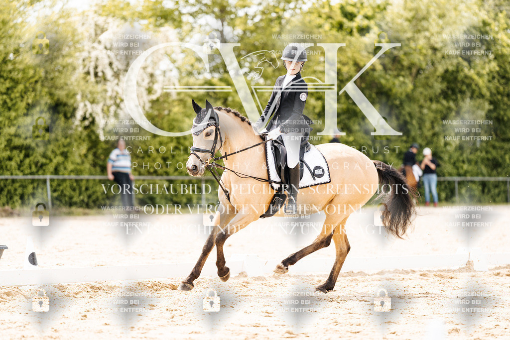 CK902526 | Turnierfotografie Pferdefotografie Trier Rheinland-Pfalz Pferdesport Reitsport Tierfotografie Sportfotografie Pferdevideo Pferdevideografie Equestrianvideography equestrianphotography  - Realisiert mit Pictrs.com