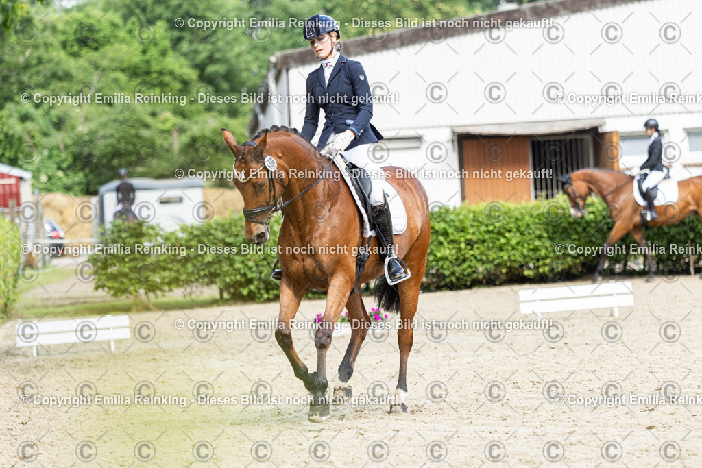 CL5A6333-2 | Emilia Reinking Fotografie - Realisiert mit Pictrs.com