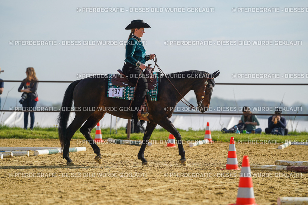 DSC01012 | Pferdegrafie