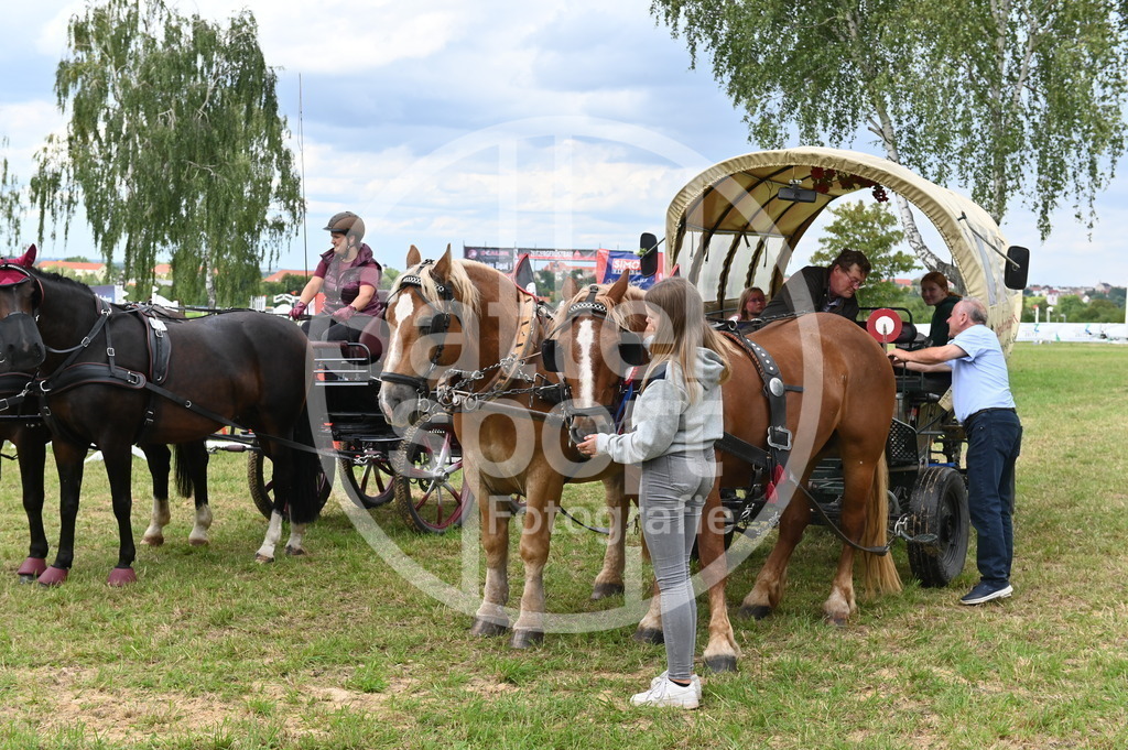 DSC_4621 | sattelsport - Realisiert mit Pictrs.com