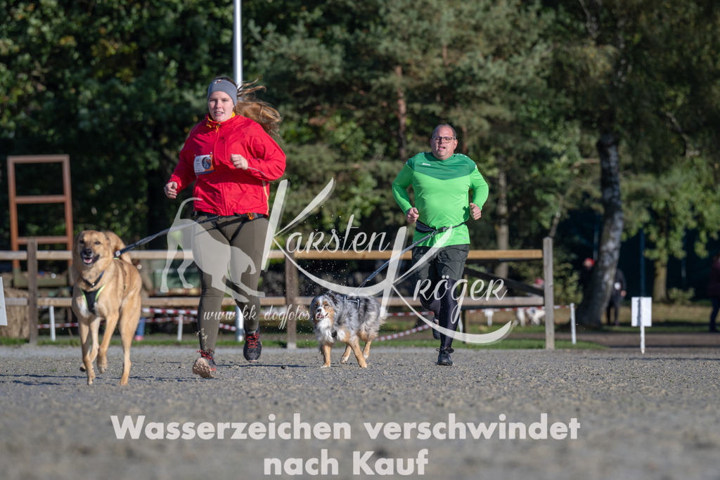 1047-_ZZ92642 | kk-dogfotos