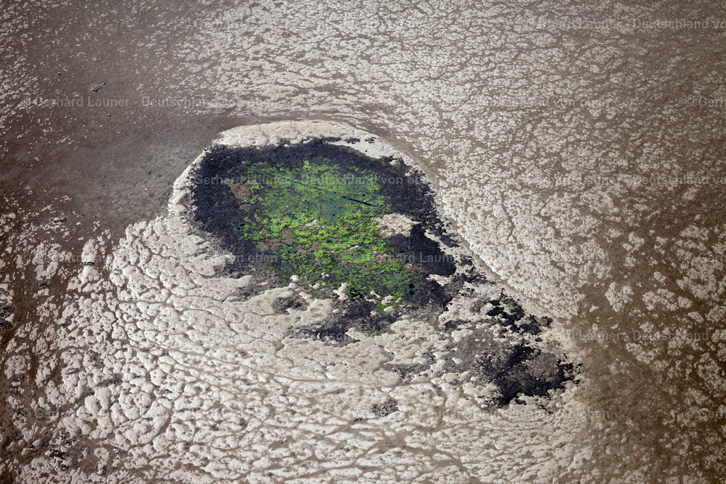 3090090 | Kleine Insel bei Baltrum, Nationalpark Niedersächsisches Wattenmeer
