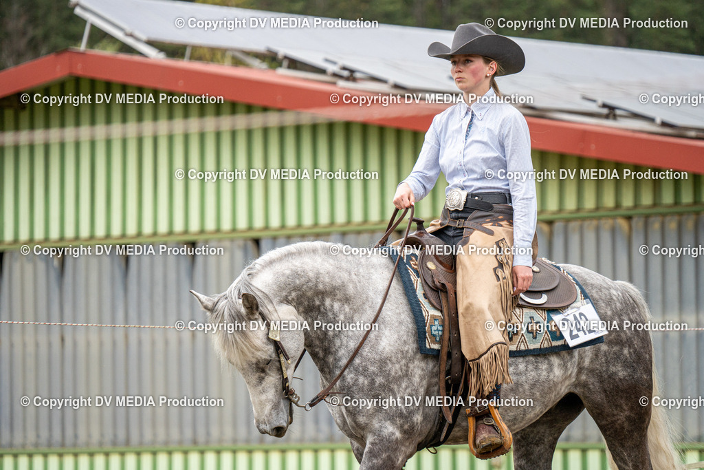 BAL00828 | dv-media-shop - Realisiert mit Pictrs.com